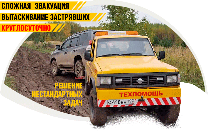 Главная